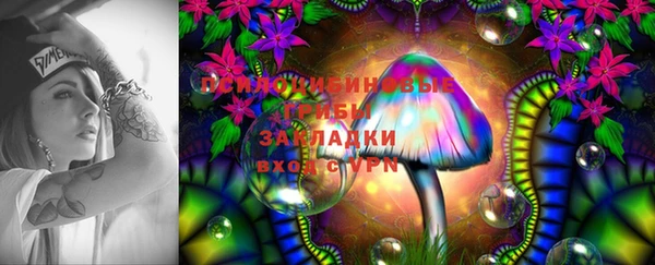твердый Малоархангельск