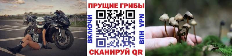 даркнет телеграм  hydra ONION  Мелеуз  Галлюциногенные грибы ЛСД 